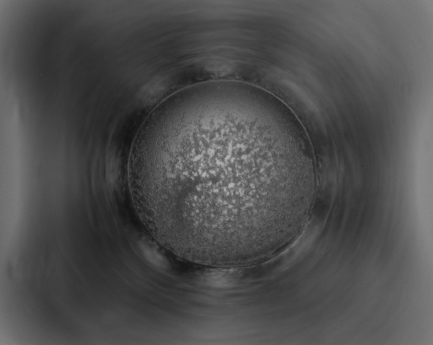 X0000088230136200705151500