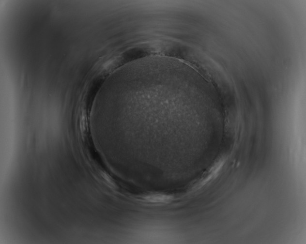 X0000088230137200705151500