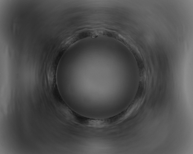 X0000088230139200705151500