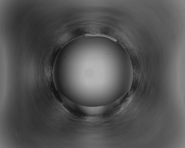 X0000088230141200705151500