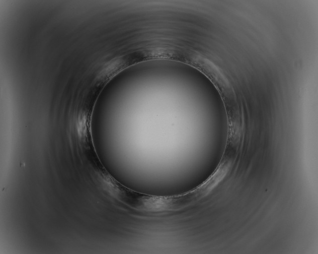 X0000088230142200705151500