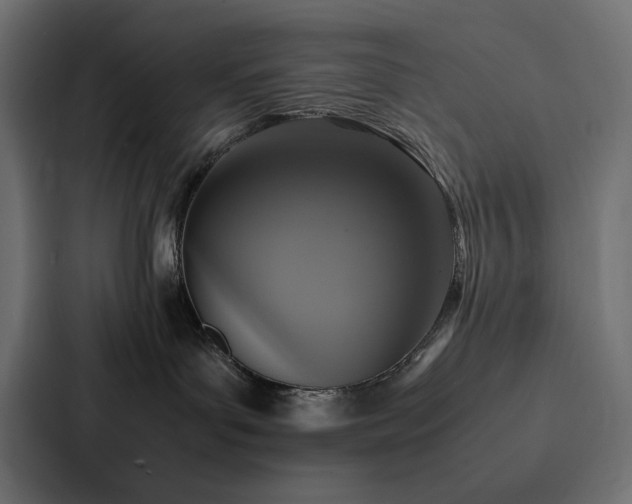 X0000088230143200705151500