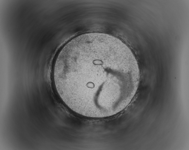 X0000088230146200705151459