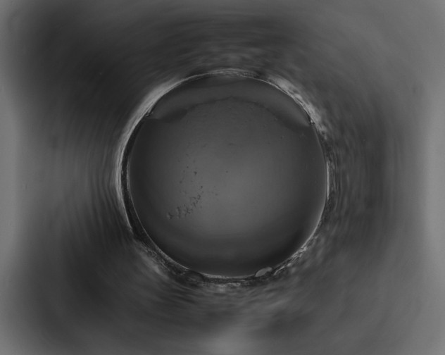 X0000088230147200705151459