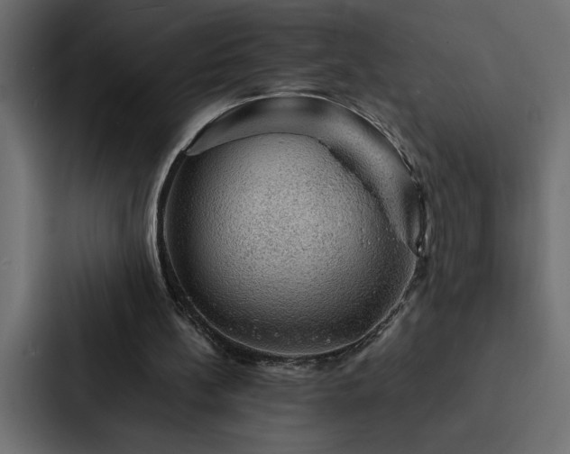 X0000088230148200705151459