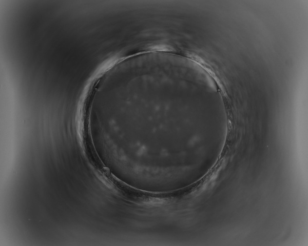 X0000088230149200705151459