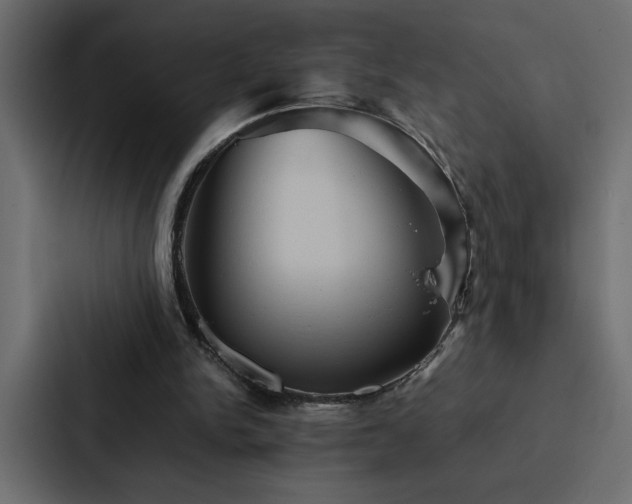 X0000088230150200705151459