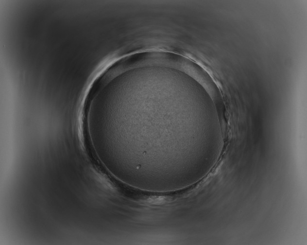 X0000088230152200705151459