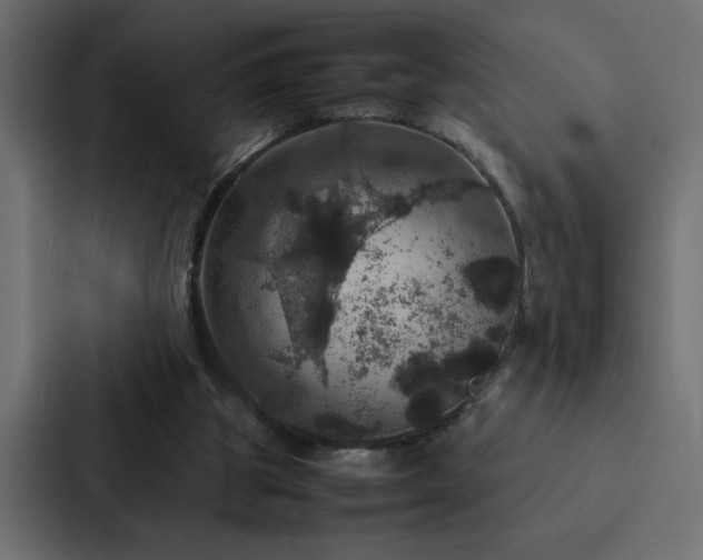 X0000088230153200705151500