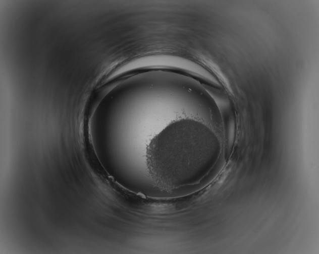 X0000088230154200705151500