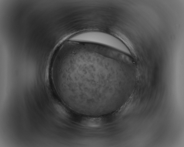 X0000088230155200705151500