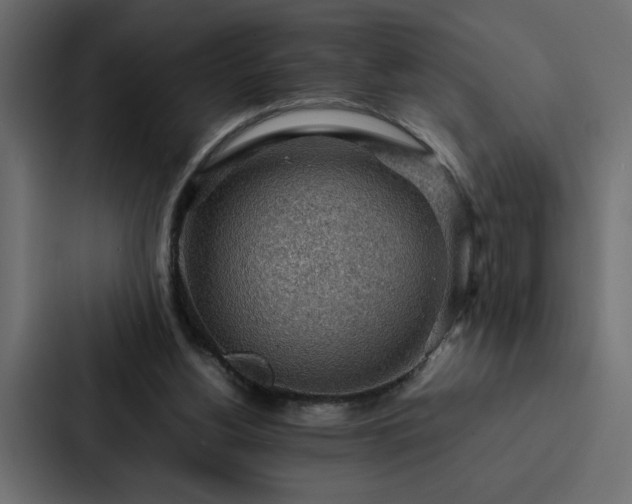 X0000088230156200705151500