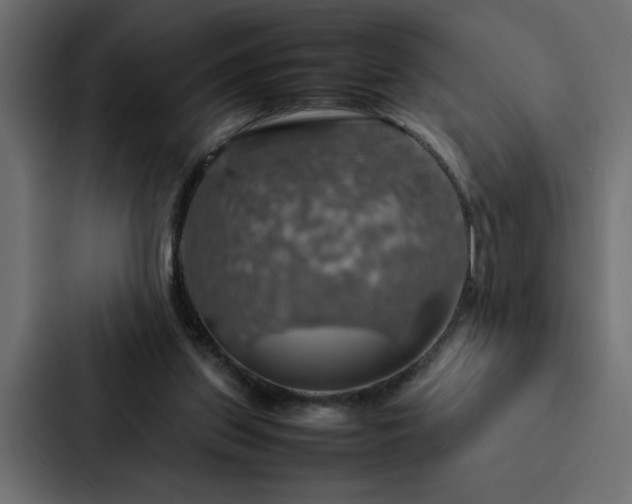 X0000088230157200705151500