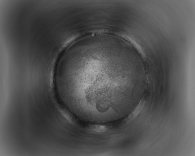 X0000088230159200705151500