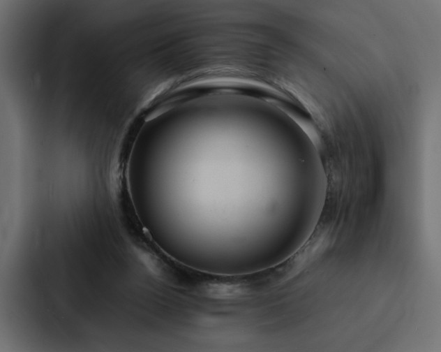 X0000088230160200705151500