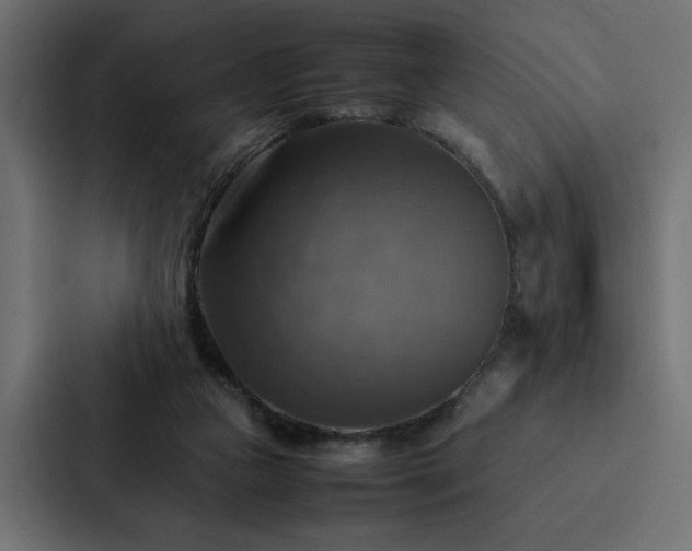 X0000088230161200705151500