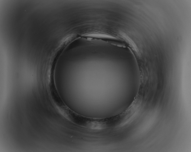 X0000088230163200705151500