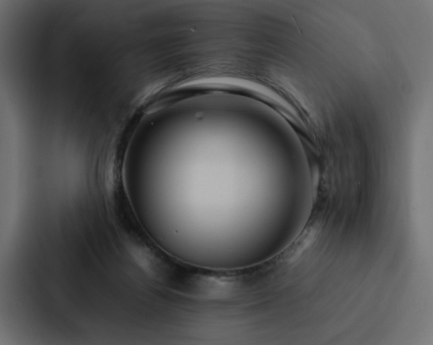 X0000088230164200705151500