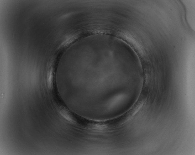X0000088230165200705151500