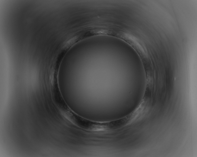 X0000088230167200705151500