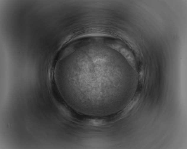 X0000088230168200705151500