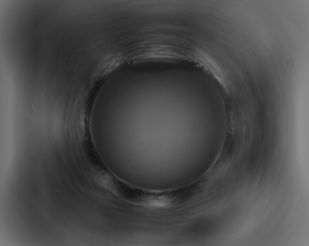 X0000088230169200705151500