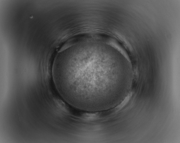 X0000088230170200705151500