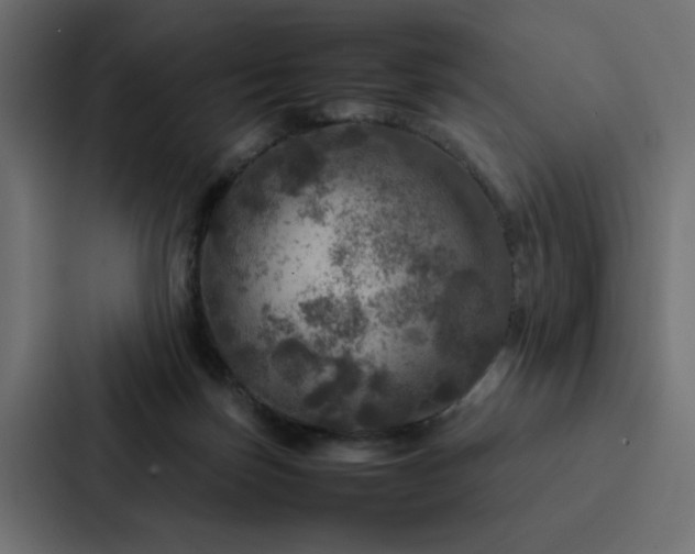 X0000088230171200705151500