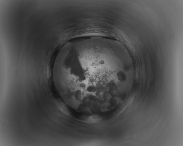 X0000088230173200705151500