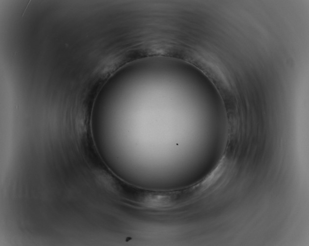 X0000088230174200705151500