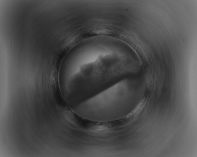 X0000088230175200705151500