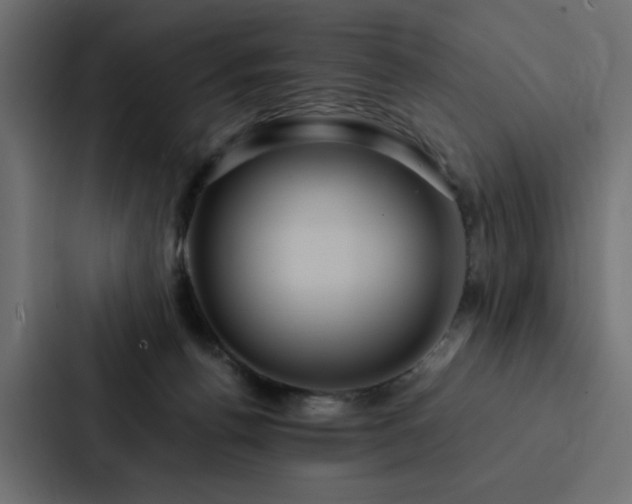 X0000088230176200705151500