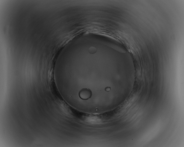X0000088230177200705151500