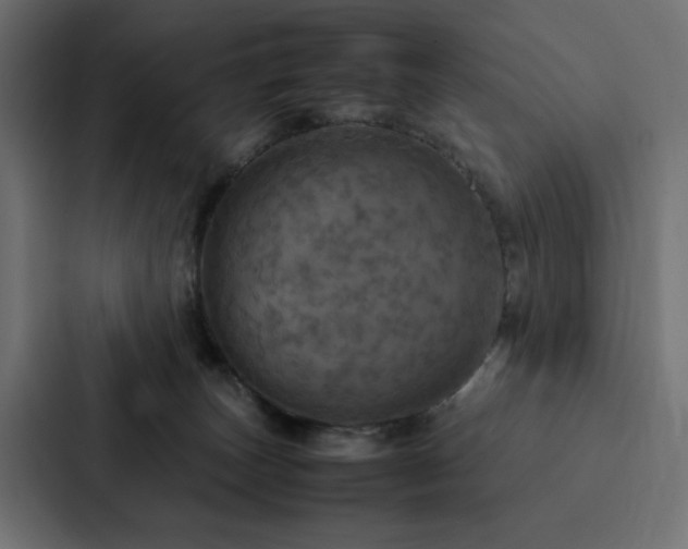 X0000088230179200705151500