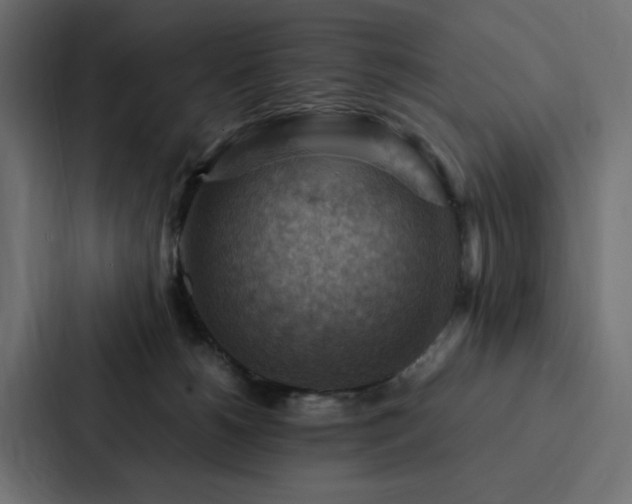 X0000088230180200705151500