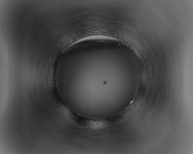 X0000088230181200705151500