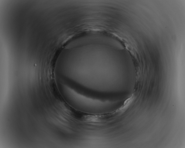 X0000088230182200705151500