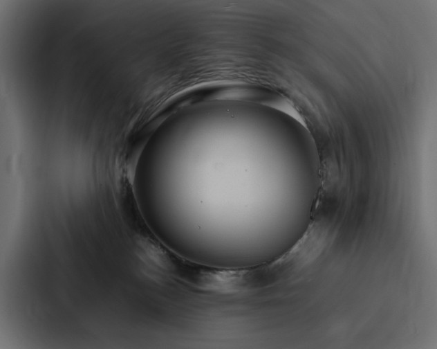 X0000088230184200705151500