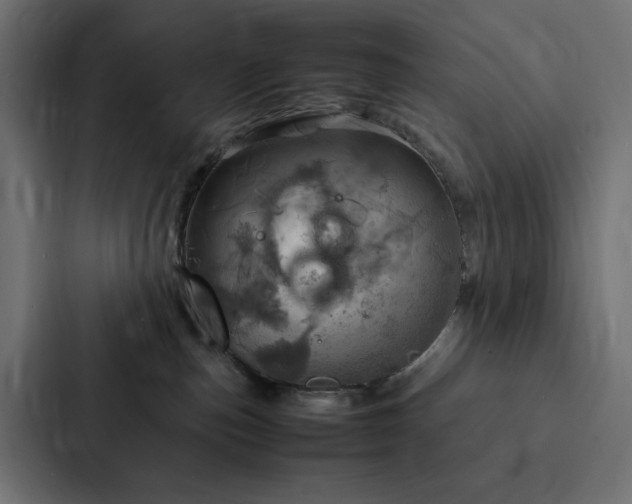 X0000088230187200705151500