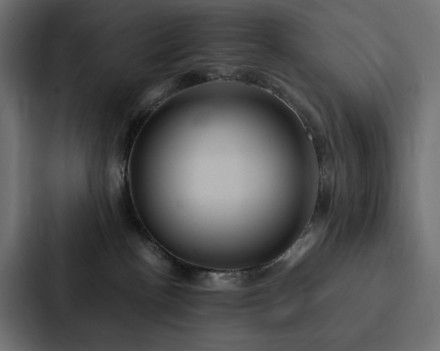 X0000088230188200705151500