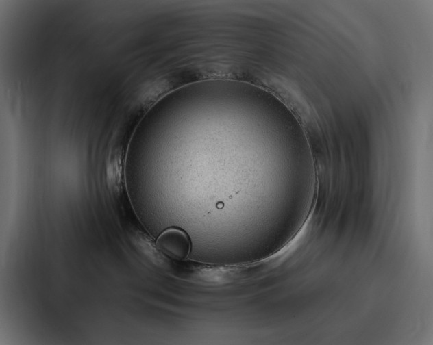 X0000088230190200705151500