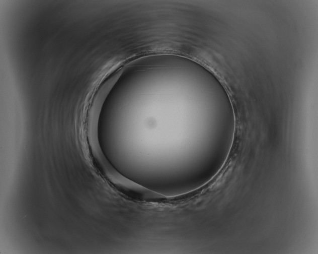 X0000088230193200705151459