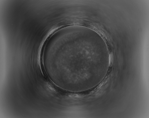 X0000088230195200705151459