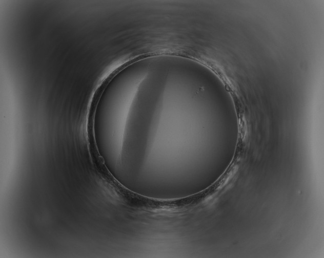 X0000088230196200705151459
