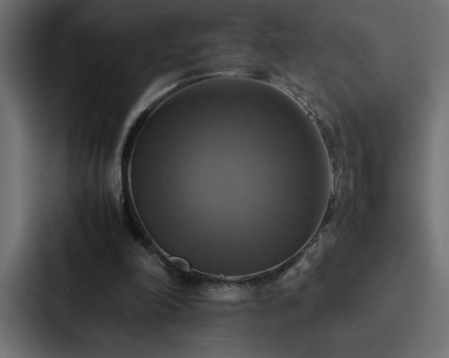X0000088230198200705151459