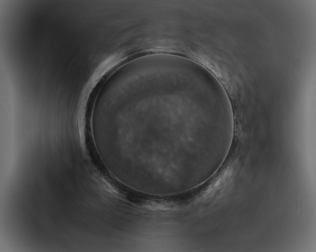 X0000088230199200705151459