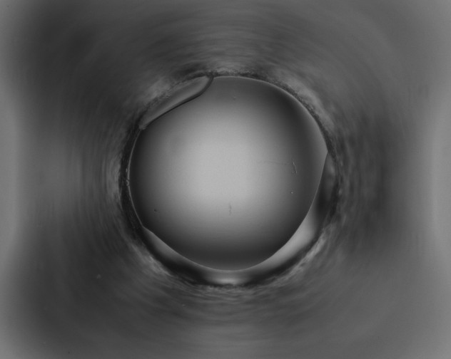 X0000088230201200705151459