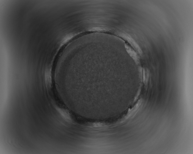X0000088230204200705151459