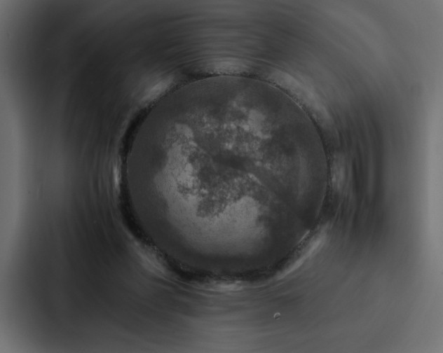 X0000088230206200705151459