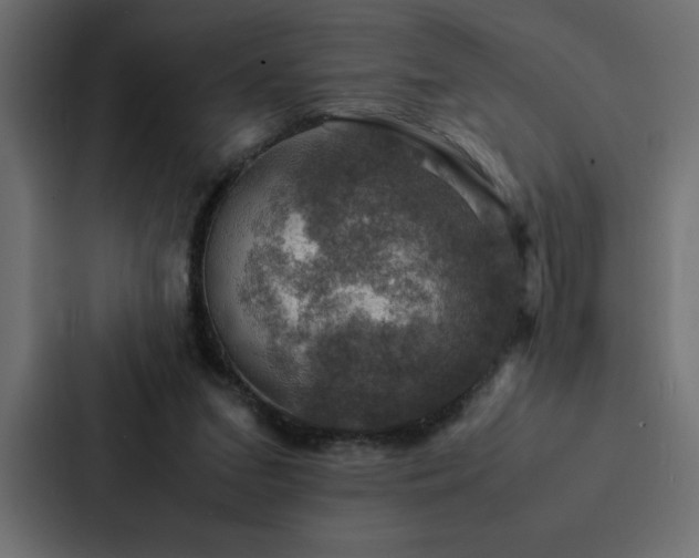 X0000088230207200705151459